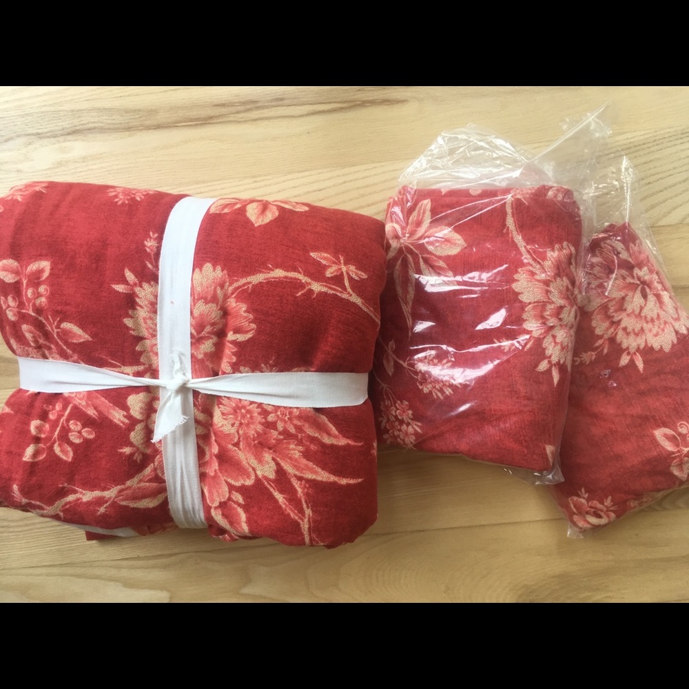 Pottery Barn Toile Duvet + 2 Shams